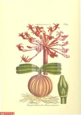 Download file tranh PSD Tranh sơn dầu phương tây tổng hợp STS66091 để chỉnh sửa