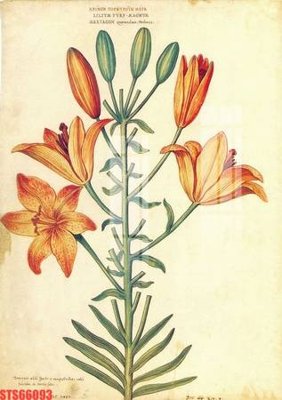 File tranh Tranh sơn dầu phương tây tổng hợp STS66093 (ảnh gốc) in trần 3D