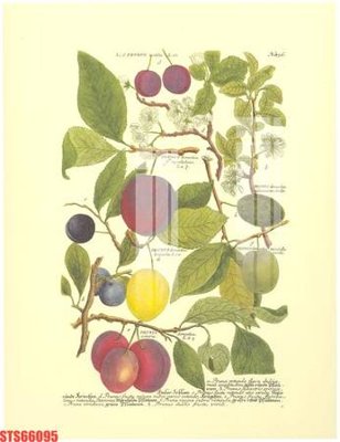 Tải file Tranh sơn dầu phương tây tổng hợp STS66095 (PSD) cho in ấn quảng cáo