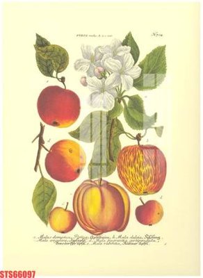 Tải file gốc Tranh sơn dầu phương tây tổng hợp STS66097 (in tráng gương) cao cấpFile gốc Tranh sơn dầu phương tây tổng hợp STS66097 (in ấn) phiên bản độc quyền