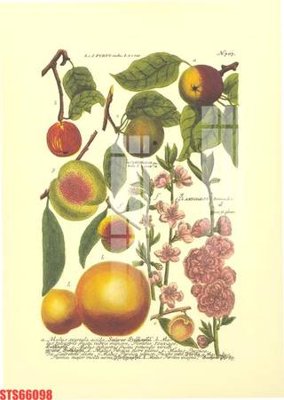 Tải file Tranh sơn dầu phương tây tổng hợp STS66098 (gốc) in ấn ngay lập tức