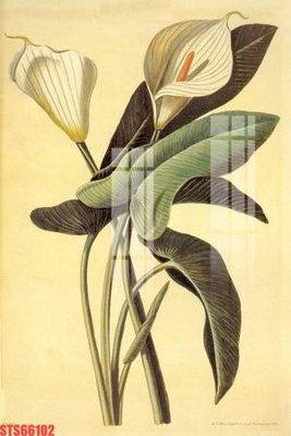 File tranh in mica Tranh sơn dầu phương tây tổng hợp STS66102 (độ phân giải cao)