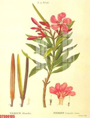 File tranh Tranh sơn dầu phương tây tổng hợp STS66105 (ảnh gốc) in trần nhà