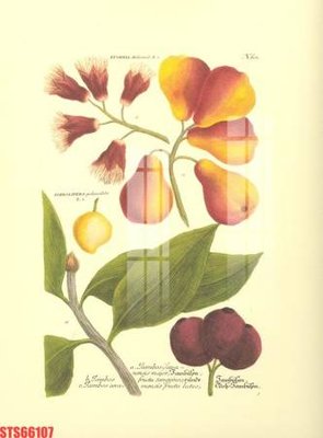 Hình ảnh gốc Tranh sơn dầu phương tây tổng hợp STS66107 (để in khổ lớn)