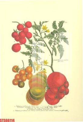 Mua file gốc Tranh sơn dầu phương tây tổng hợp STS66114 (in ấn) tại Filetranh.com