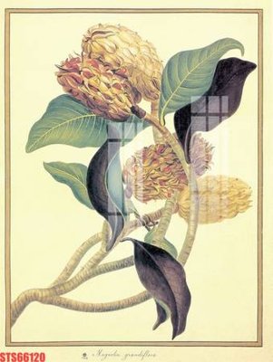 File tranh in mica Tranh sơn dầu phương tây tổng hợp STS66120 (độ phân giải cao)