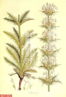 File ảnh Tranh sơn dầu phương tây tổng hợp STS66135 (gốc) trang trí khách sạn