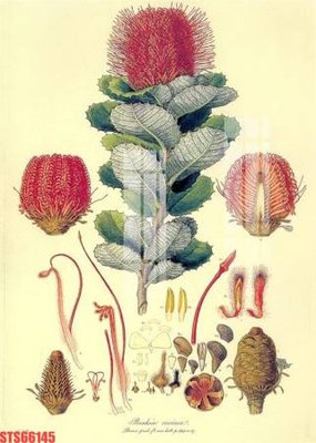 File tranh Tranh sơn dầu phương tây tổng hợp STS66145 (bản gốc) in canvas