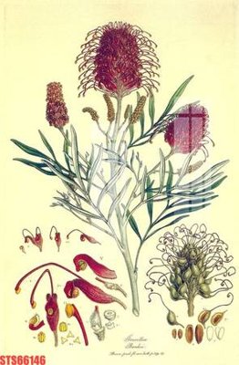 File tranh Tranh sơn dầu phương tây tổng hợp STS66146 (ảnh gốc) in trần nhà