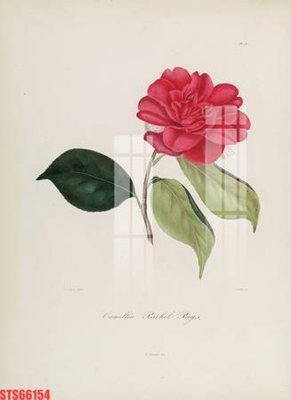 File gốc Tranh sơn dầu phương tây tổng hợp STS66154 (PNG) chất lượng cao