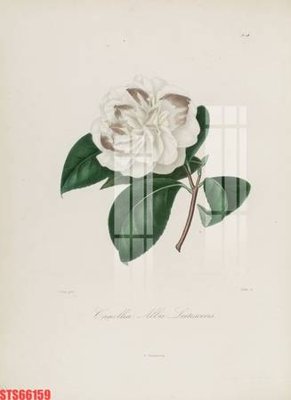 File gốc Tranh sơn dầu phương tây tổng hợp STS66159 (in lụa) họa tiết 3D