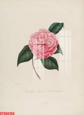 File gốc Tranh sơn dầu phương tây tổng hợp STS66164 (PNG) chất lượng cao