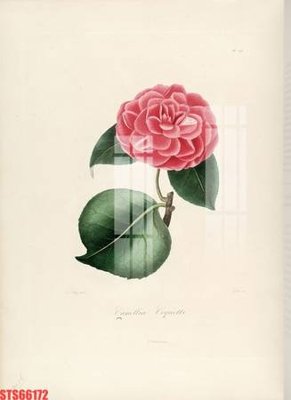 File in trần Tranh sơn dầu phương tây tổng hợp STS66172 (file gốc) hoa văn 3D