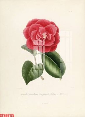 File gốc Tranh sơn dầu phương tây tổng hợp STS66175 (in ấn) màu sắc trung thực