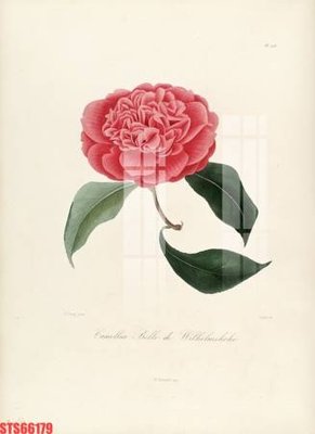 Tải file Tranh sơn dầu phương tây tổng hợp STS66179 (ảnh gốc) in tranh kính