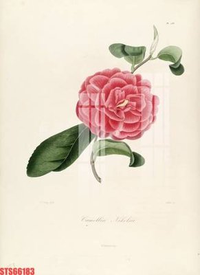 File ảnh Tranh sơn dầu phương tây tổng hợp STS66183 (gốc) trang trí khách sạn