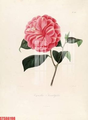 File tranh Tranh sơn dầu phương tây tổng hợp STS66198 (gốc) chủ đề trẻ em