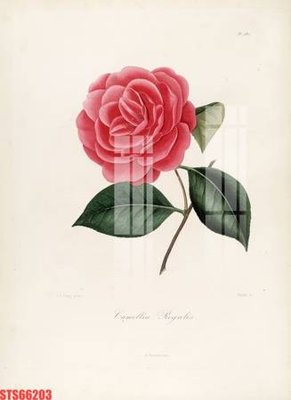 File PSD Tranh sơn dầu phương tây tổng hợp STS66203 (gốc) cho designer