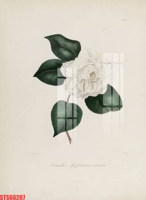 File tranh Tranh sơn dầu phương tây tổng hợp STS66207 (ảnh gốc) chi tiết rõ ràng