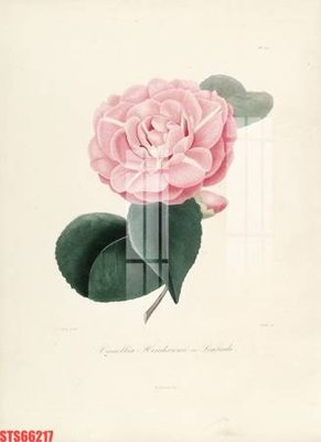 File in trần Tranh sơn dầu phương tây tổng hợp STS66217 (bản gốc) phong cảnh