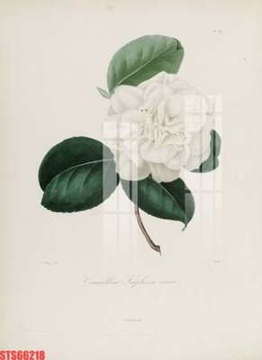 File gốc Tranh sơn dầu phương tây tổng hợp STS66218 (in mica) làm quà tặng