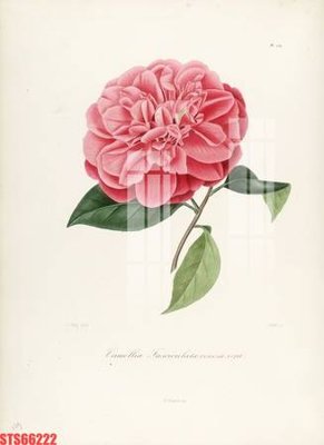 Tải file tranh Tranh sơn dầu phương tây tổng hợp STS66222 (ảnh gốc) ngay