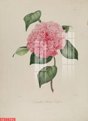 File gốc Tranh sơn dầu phương tây tổng hợp STS66226 (in mica) trang trí