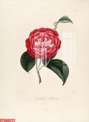 File in trần Tranh sơn dầu phương tây tổng hợp STS66227 (file gốc) hoa văn 3D