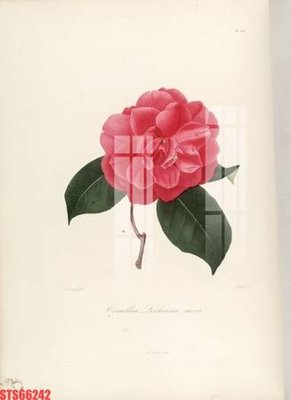 File gốc Tranh sơn dầu phương tây tổng hợp STS66242 (chủ đề hiện đại) trang trí