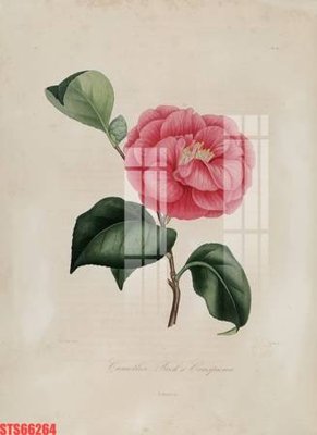 File tranh Tranh sơn dầu phương tây tổng hợp STS66264 (gốc) chủ đề trừu tượng