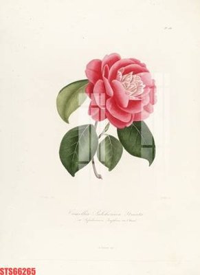 File tranh trang trí Tranh sơn dầu phương tây tổng hợp STS66265 (tải file gốc)