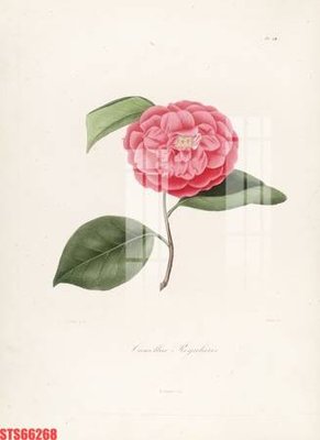 Tải file gốc Tranh sơn dầu phương tây tổng hợp STS66268 (bản PSD) còn layer