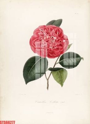 File ảnh Tranh sơn dầu phương tây tổng hợp STS66277 (gốc) in backdrop sự kiện