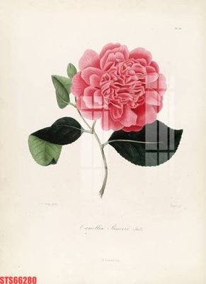 Tải file gốc Tranh sơn dầu phương tây tổng hợp STS66280 (bản PSD) đầy đủ layer