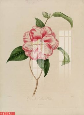 Chi tiết file tranh tráng gương Tranh sơn dầu phương tây tổng hợp STS66288 (ảnh gốc)