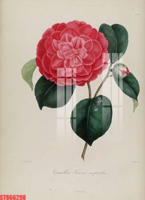 File PSD Tranh sơn dầu phương tây tổng hợp STS66298 (bản gốc) chất lượng nhất