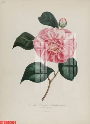 File tranh Tranh sơn dầu phương tây tổng hợp STS66304 (ảnh gốc) sắc nét hoàn hảo