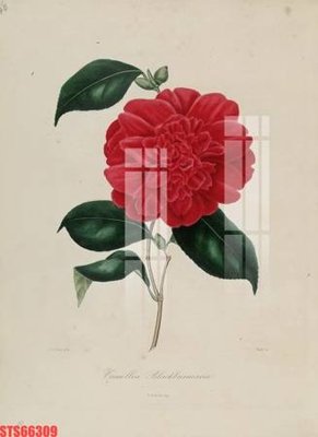 File tranh Tranh sơn dầu phương tây tổng hợp STS66309 (ảnh gốc) cho in ấn kỹ thuật số