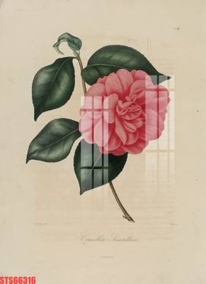 File tranh quảng cáo Tranh sơn dầu phương tây tổng hợp STS66316 (download file gốc)