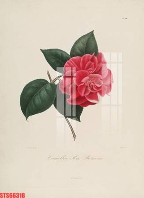 File gốc Tranh sơn dầu phương tây tổng hợp STS66318 (in ấn) không giới hạn