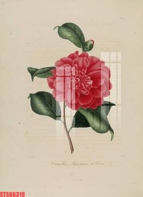 Chi tiết file ảnh Tranh sơn dầu phương tây tổng hợp STS66319 sắc nét