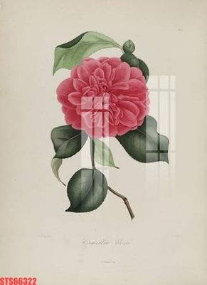 Hình ảnh file gốc in lụa Tranh sơn dầu phương tây tổng hợp STS66322