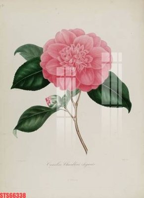 File gốc Tranh sơn dầu phương tây tổng hợp STS66338 (PNG) trong suốt (transparent)