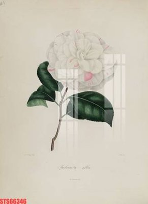 Download file Tranh sơn dầu phương tây tổng hợp STS66346 (gốc) in mica bàn thờ