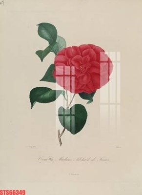 Tải file gốc Tranh sơn dầu phương tây tổng hợp STS66349 (in không vỡ ảnh)