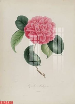 File tranh Tranh sơn dầu phương tây tổng hợp STS66357 (gốc) chủ đề thành phố