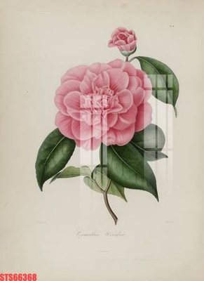 Tải file Tranh sơn dầu phương tây tổng hợp STS66368 (ảnh gốc) 300dpi Tranh sơn dầu phương tây tổng hợp STS66368