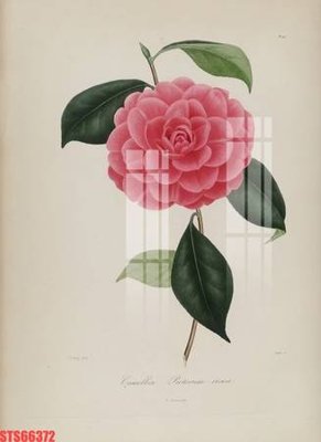 File ảnh Tranh sơn dầu phương tây tổng hợp STS66372 (gốc) cho trang trí nội thất