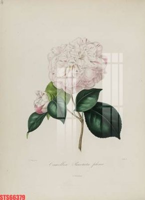 File gốc Tranh sơn dầu phương tây tổng hợp STS66379 (ảnh rõ nét) để in