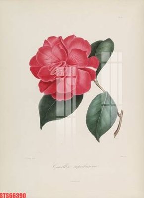 Chi tiết file gốc Tranh sơn dầu phương tây tổng hợp STS66390 (cho in tráng gương)